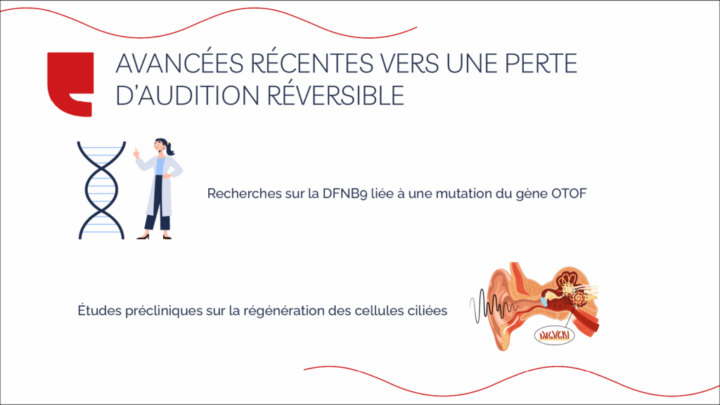 Avancées récentes vers une perte d’audition réversible