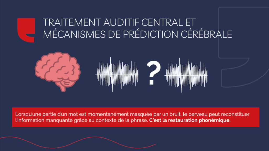 Traitement auditif central et mécanismes de prédiction cérébrale